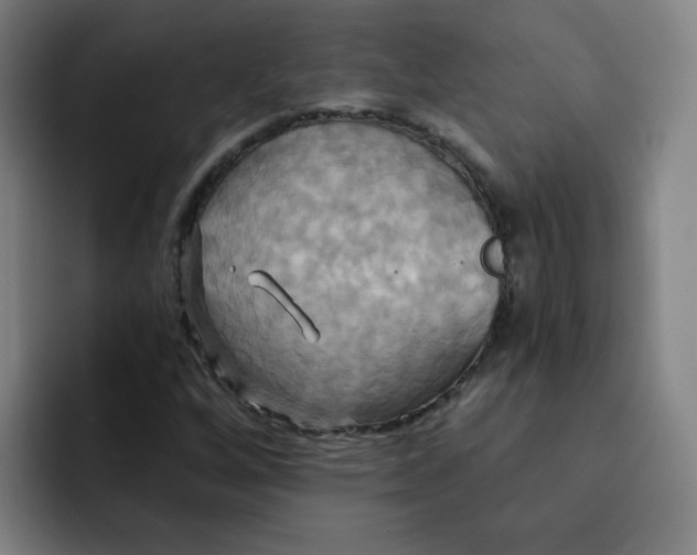 X0000091911256200709261709