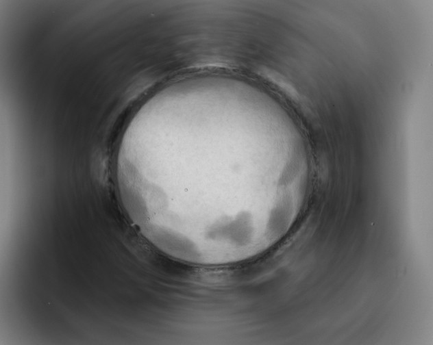 X0000091911258200709261709