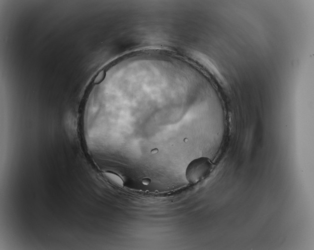 X0000091911260200709261709