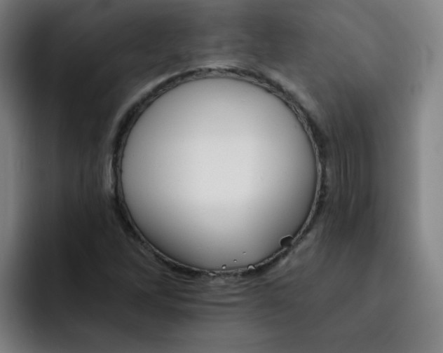 X0000091911262200709261709