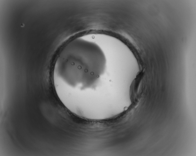 X0000091911263200709261709