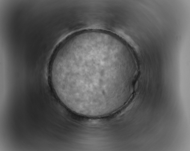 X0000091911264200709261709