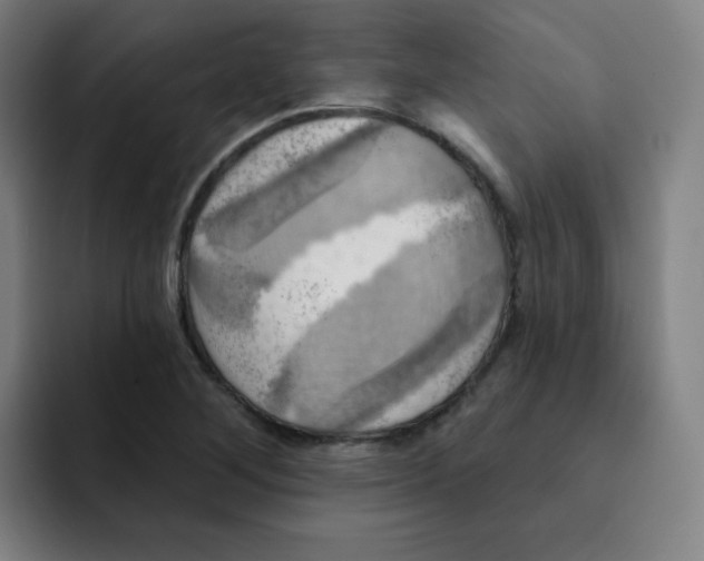 X0000091911268200709261709