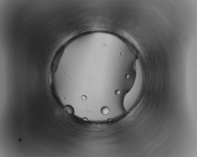 X0000091911269200709261709