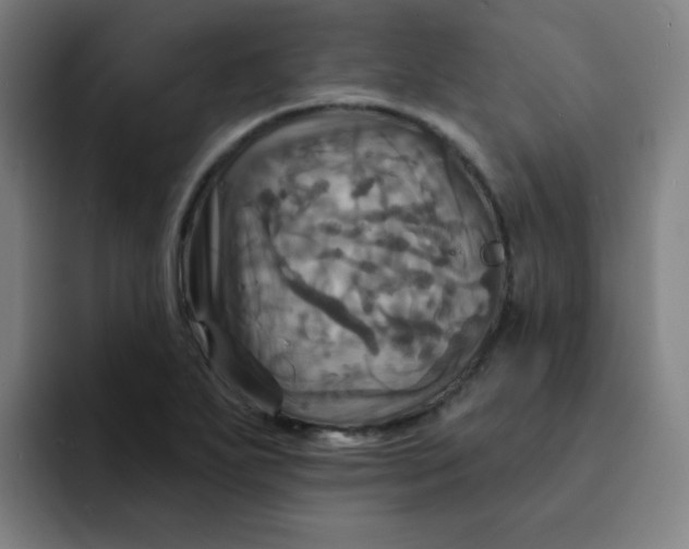 X0000091911271200709261709