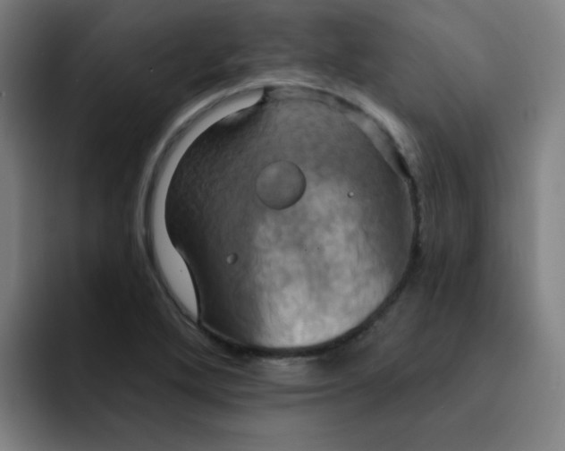 X0000091911272200709261709