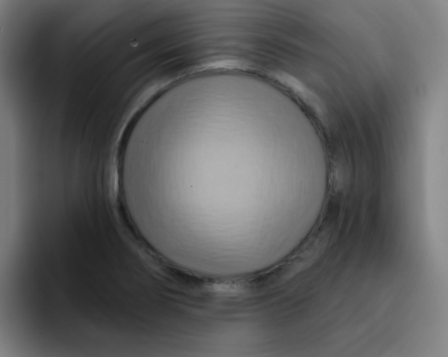 X0000091911274200709261709