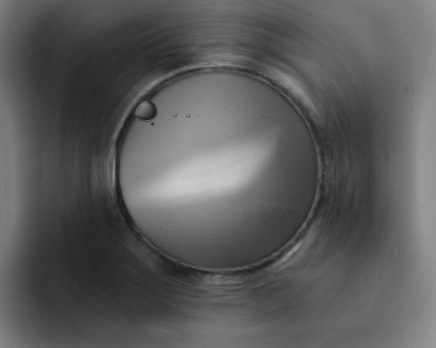 X0000091911275200709261709