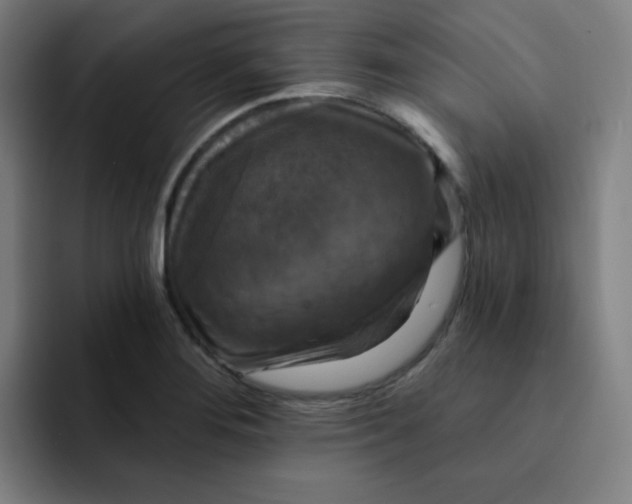 X0000091911276200709261709