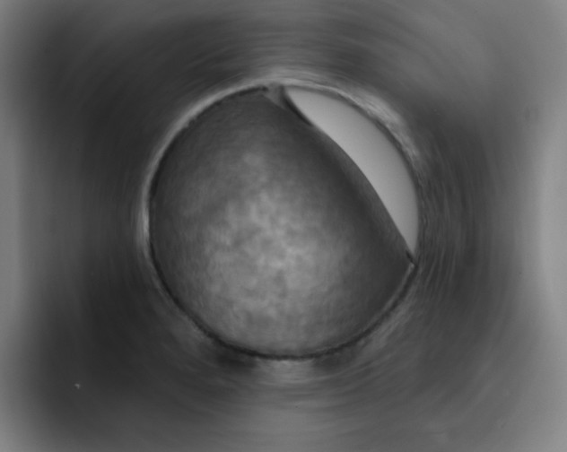 X0000091911280200709261709