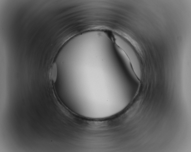 X0000091911281200709261709