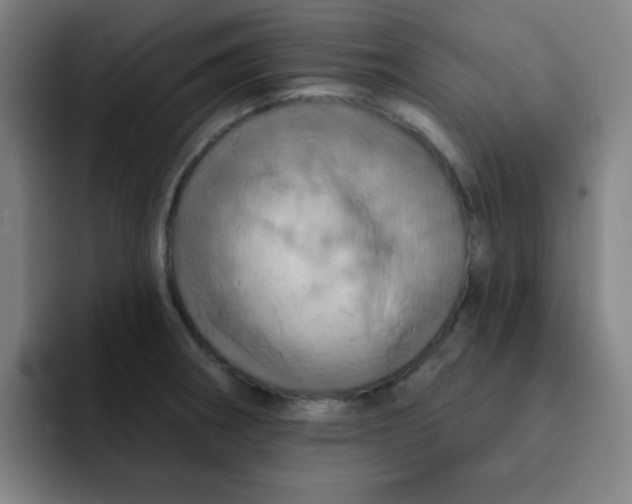 X0000091911282200709261709