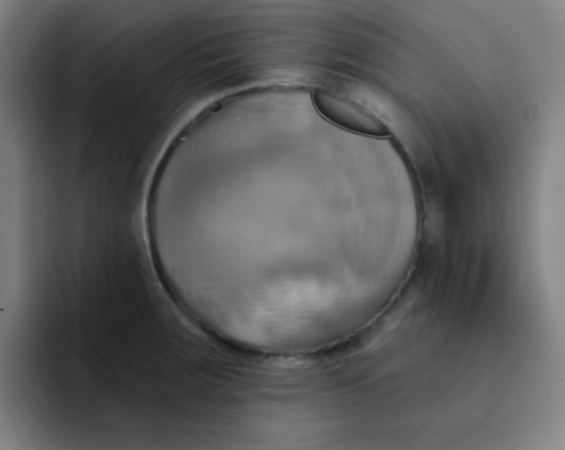 X0000091911283200709261709