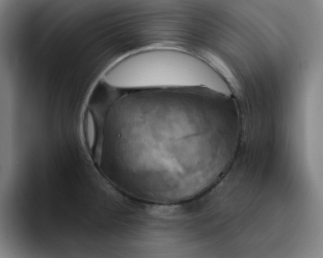 X0000091911284200709261709