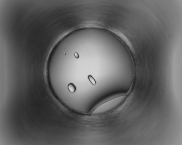 X0000091911285200709261709