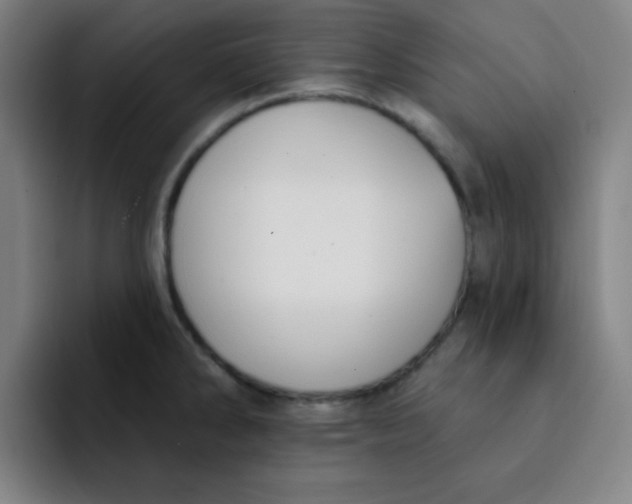 X0000091911286200709261709