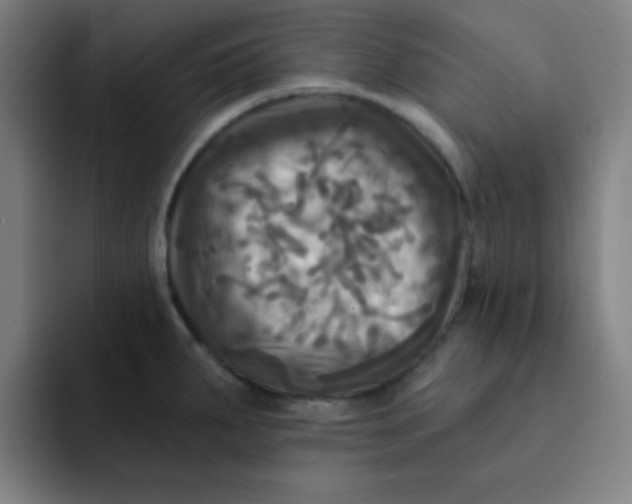 X0000091911287200709261709