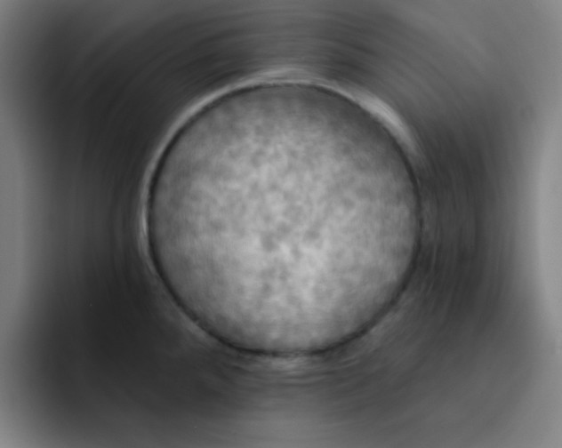 X0000091911288200709261709