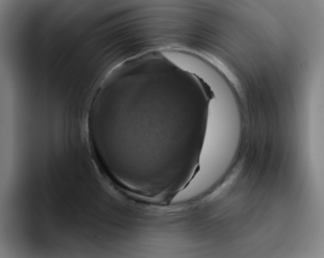 X0000091911289200709261709