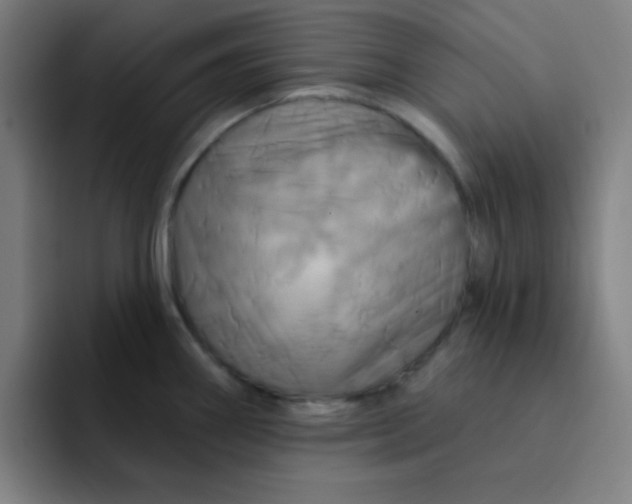 X0000091911290200709261709