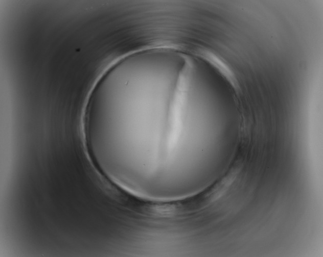 X0000091911291200709261709