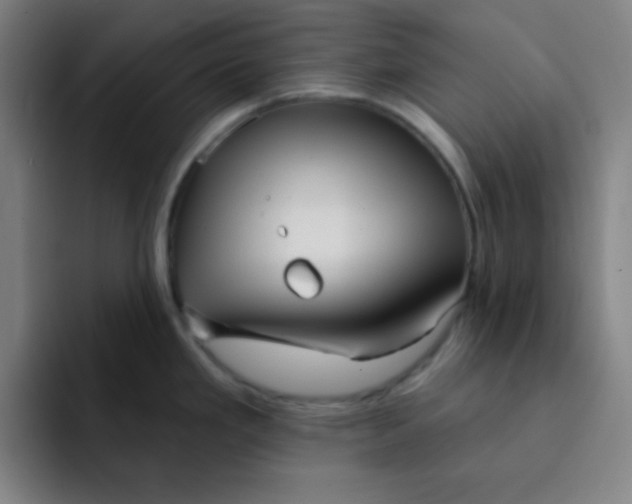 X0000091911293200709261709