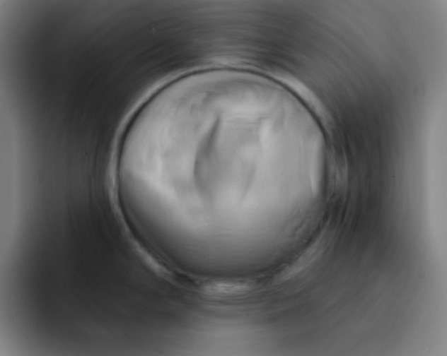 X0000091911294200709261709