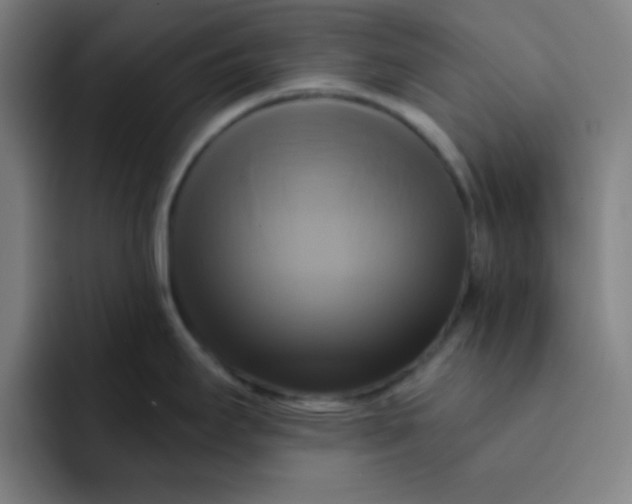 X0000091911295200709261709