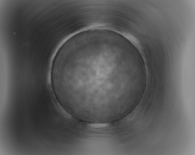 X0000091911296200709261709