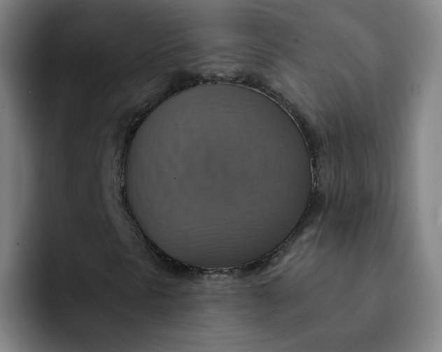 X0000091911297200709261708