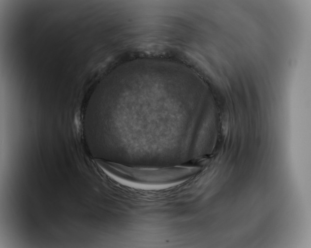 X0000091911298200709261708