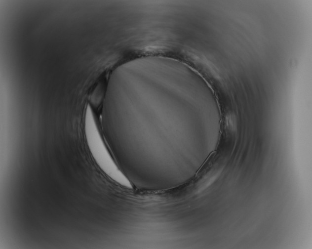 X0000091911300200709261708