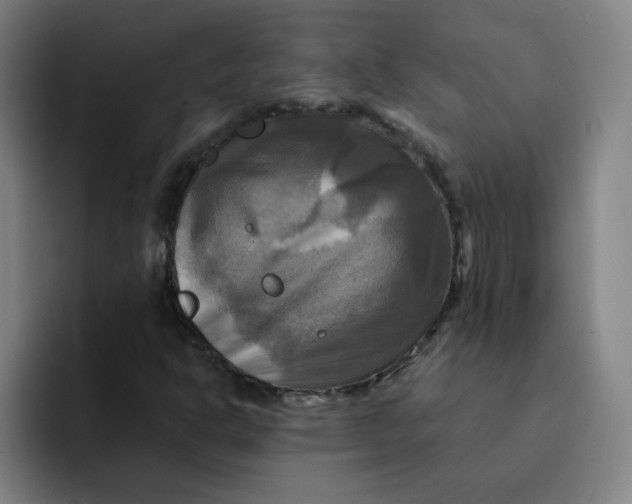 X0000091911302200709261708