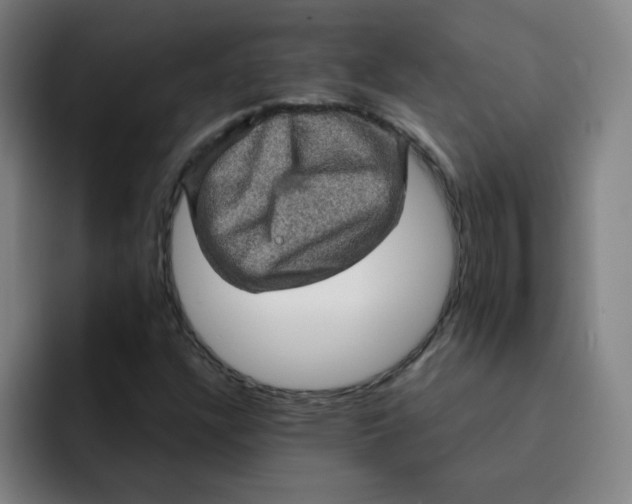 X0000091911304200709261708