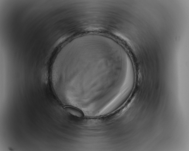 X0000091911306200709261708