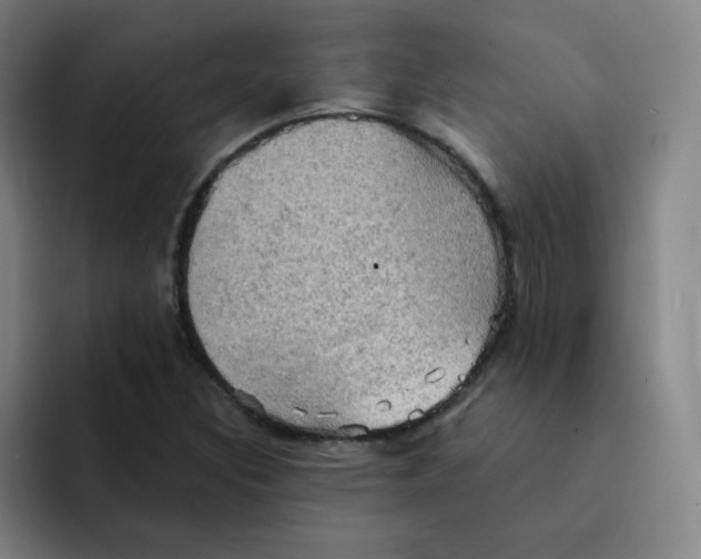 X0000091911308200709261708