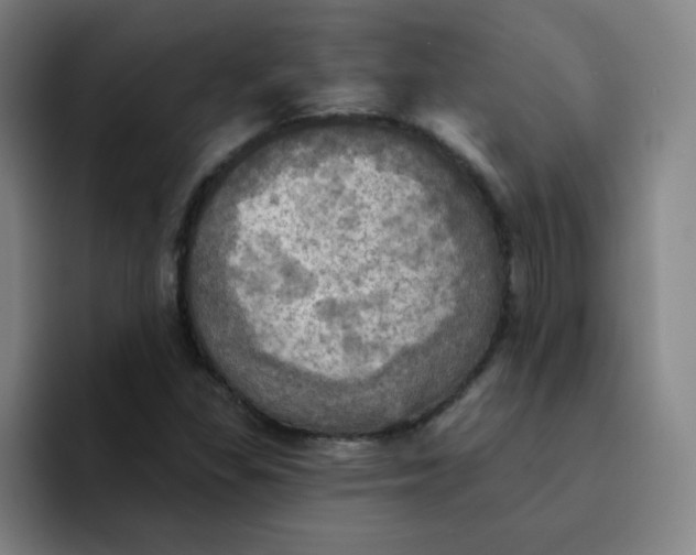 X0000091911309200709261708