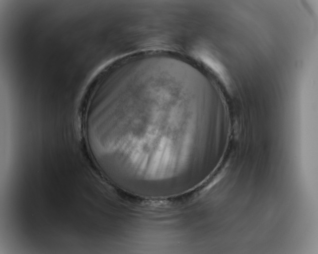 X0000091911310200709261708