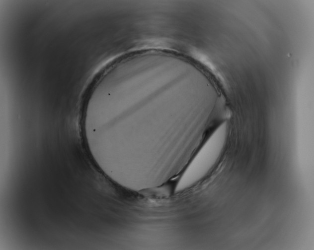 X0000091911312200709261708