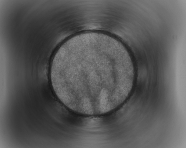 X0000091911314200709261708