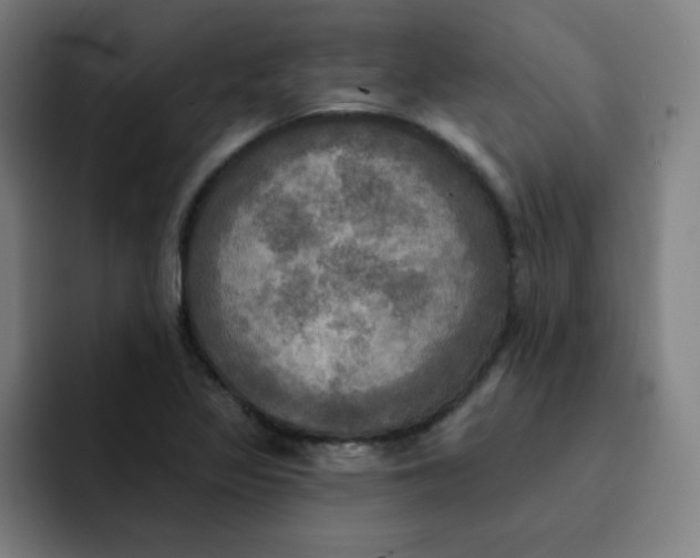 X0000091911317200709261708