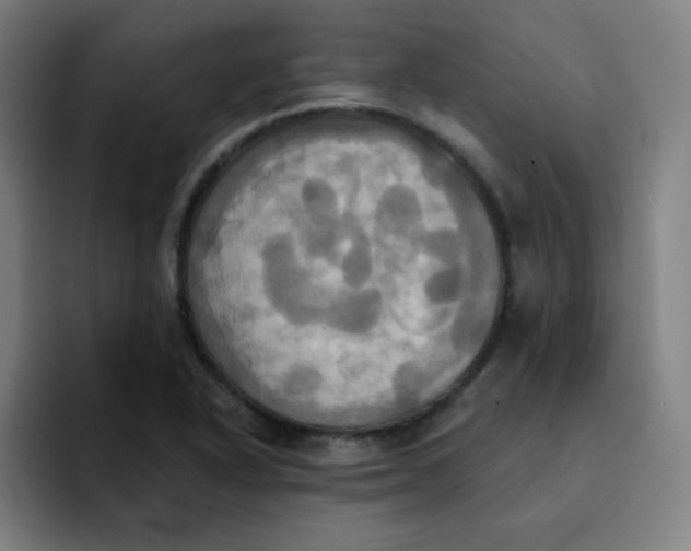 X0000091911318200709261708