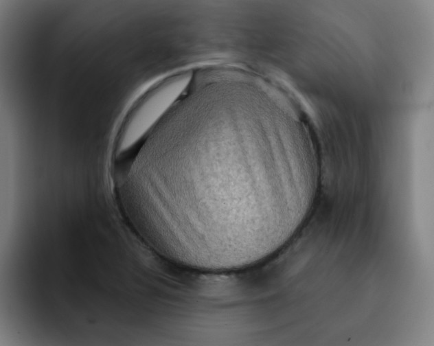 X0000091911320200709261708