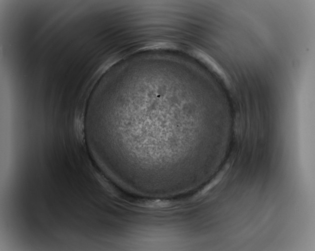 X0000091911321200709261708