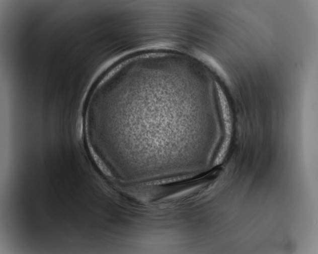 X0000091911324200709261709