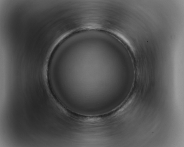 X0000091911325200709261709