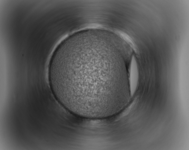 X0000091911326200709261709