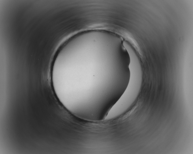 X0000091911328200709261709