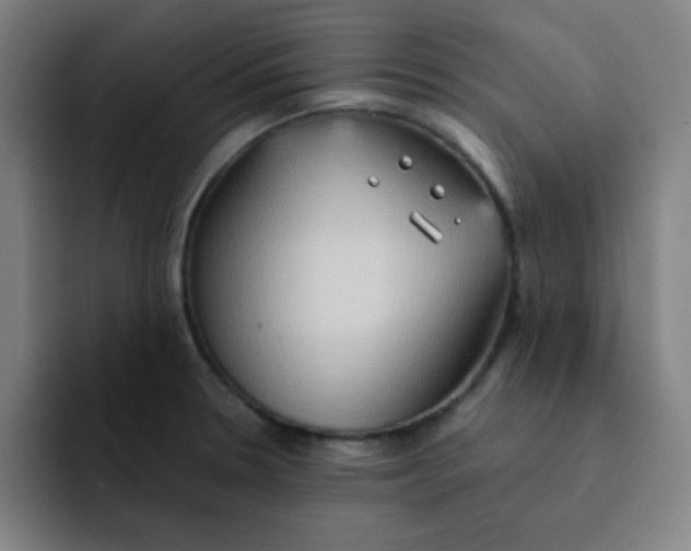 X0000091911330200709261709