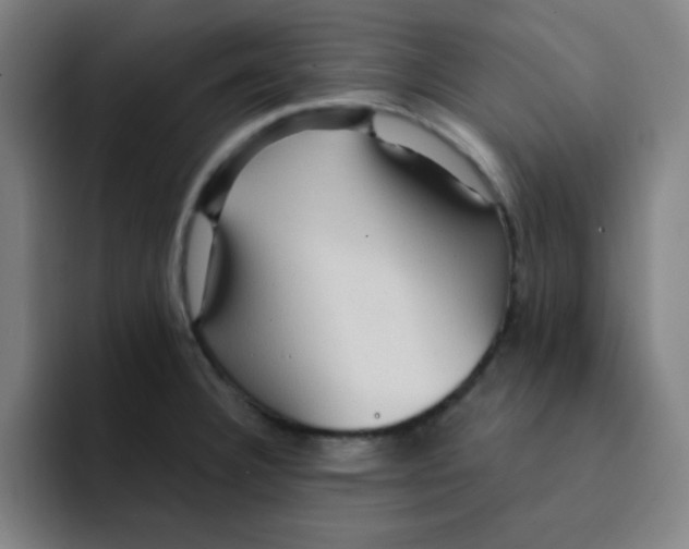 X0000091911332200709261709